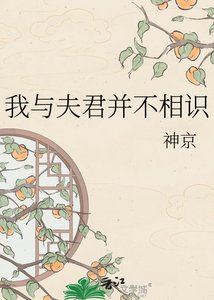 《我与夫君并不相识》